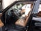 2016 INFINITI QX80 Base